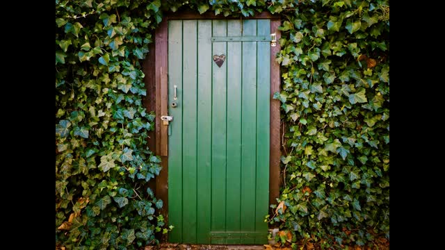 The Art of Self-Compassion